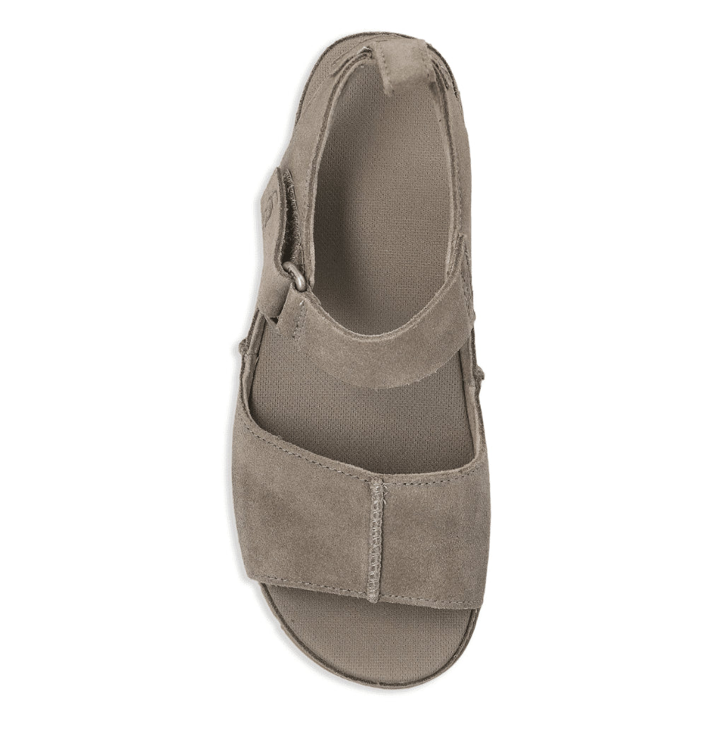 Ugg Goldenstar Hi taupe brown