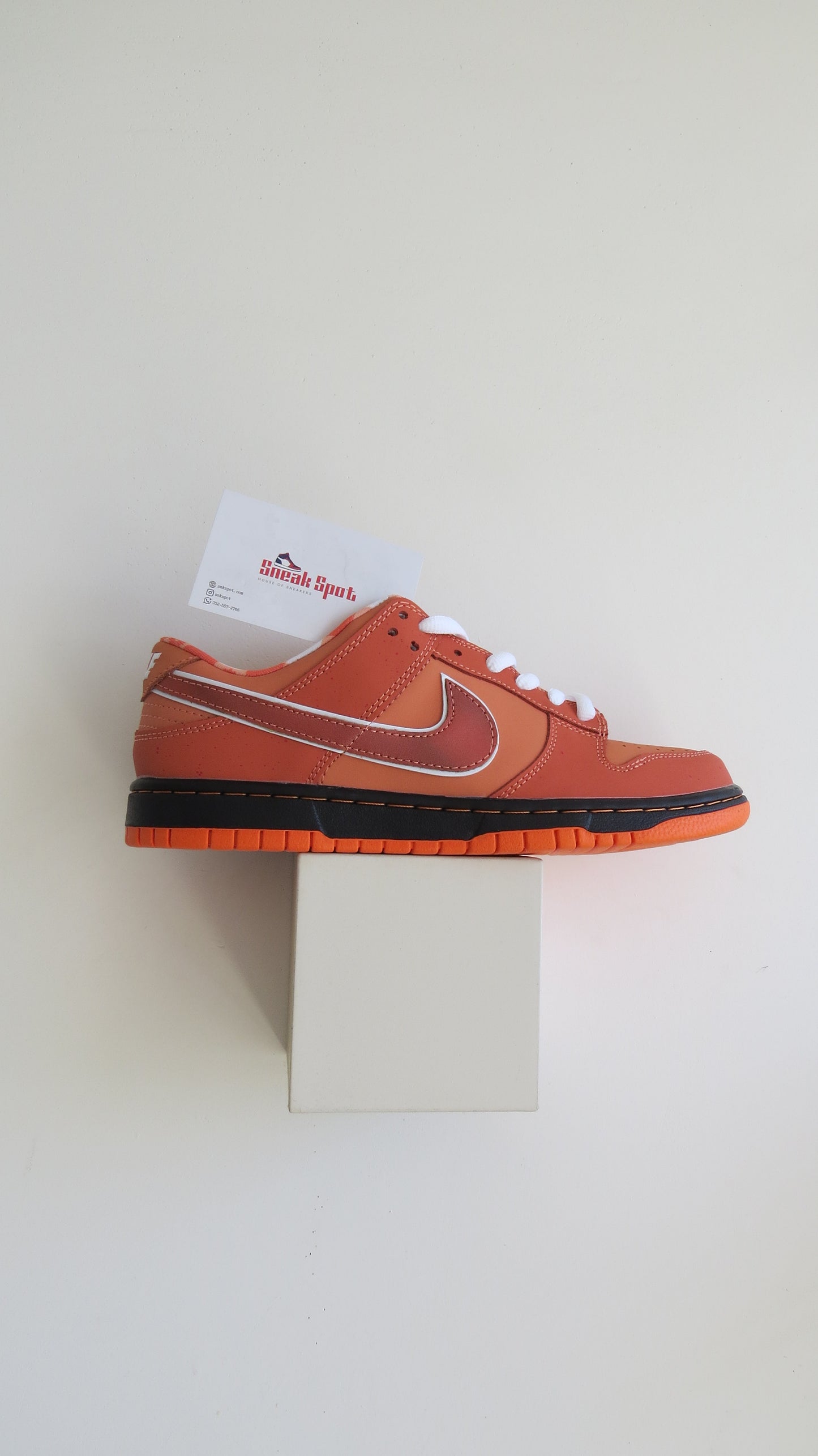 Nike SB Dunk Low Concepts Orange Lobster
